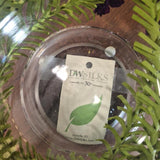 D&W Silks Botanical Clear Decorative Bowls - Pair