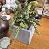 Trailing Faux Sedum Succulent in Gray Square Planter