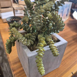Trailing Faux Sedum Succulent in Gray Square Planter