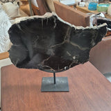 Black Petrified-Wood-Style Stone Slab on Stand