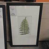 Fern Art