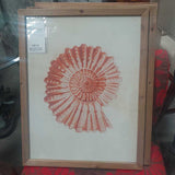 Red Coral Art