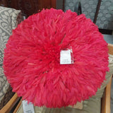 Feather Wall Art