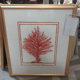 Red Coral Art