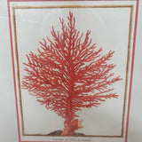 Red Coral Art