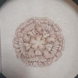 Round Sea Creature