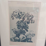 Encyclopedic Floral