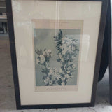 Encyclopedic Floral