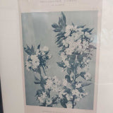 Encyclopedic Floral
