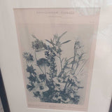 Encyclopedic Floral