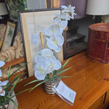 White Orchid Flower