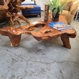 Teak Root Coffee Table