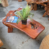Teak Root Coffee Table