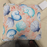 Shell & Coral