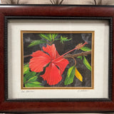Red Hibiscus Flower