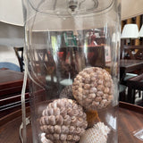 360 Lighting Coastal Accent Lamps w/ Sea Shells (PAIR)