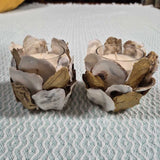 Oyster Candle Holder Pair