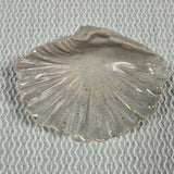 Ceramic Shell Shaped bowl
