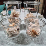 Sea Glass & Seashell Glass Beach Decor Set