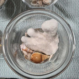Sea Glass & Seashell Glass Beach Decor Set