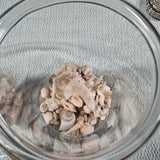 Sea Glass & Seashell Glass Beach Decor Set