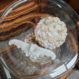 Sea Glass & Seashell Coastal Beach Decor