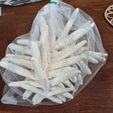 Natural Dry Starfish Set