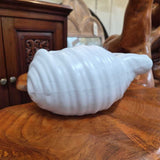 Ceramic Shell Bowl