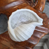 Ceramic Shell Bowl