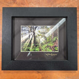 Framed Nature Photography
