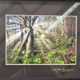 Framed Nature Photography
