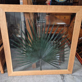 Framed Palm Leaf Wall Art