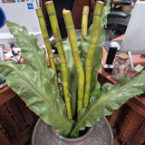 Artificial Green Fern Leaves With Bamboo Poles