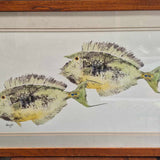 Framed Fish Artwork by Calvin Yai