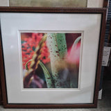 Limited Edition botanical art