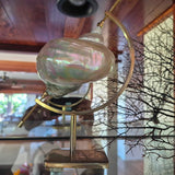 Mounted Shell Specimens On Brass Stand set