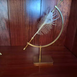 Mounted Shell Specimens On Brass Stand set
