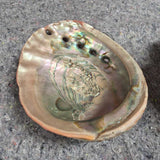 Decorative Sea Shell