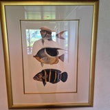Gold Framed Tropical Fish Print