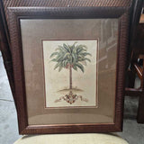 Pair of Framed Palm Botanicals