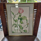 Framed Botanical Art Print of a Pink Rose