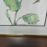 Framed Botanical Art Print of a Pink Rose