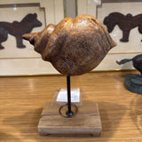 Acacia Wood Shell On Stand