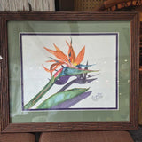 Penny King Bird Of Paradise