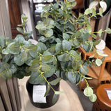 Silver Dollar Eucalyptus (Artificial)