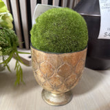Moss (Artificial)