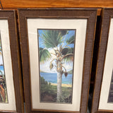 Set Of Three Tropical Botanical Prints