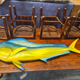 Mahi Mahi Trophy Mount Fiberglass