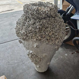 Decorative Barnacle Vase