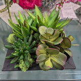 Faux Succulent Planter